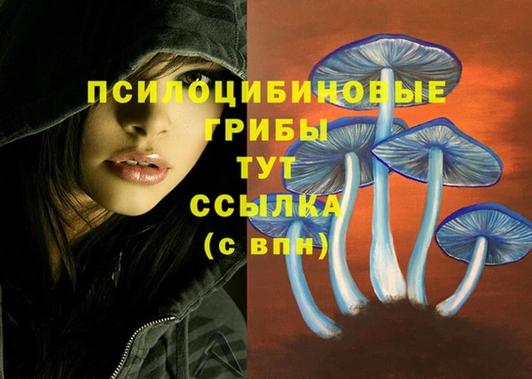 mix Алексеевка
