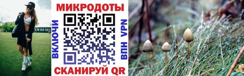 это как зайти  Удомля  Галлюциногенные грибы Magic Shrooms 