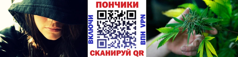 Бошки Шишки планчик Удомля